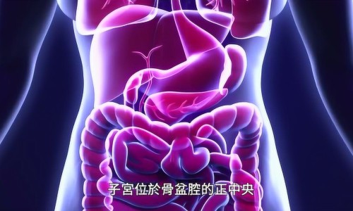 急性肾衰竭多尿期后最可能出现-急性肾衰的多尿期症状网 - 网站提供急性肾衰的多尿期症状是小常识、急性肾衰的多尿期症状是什么