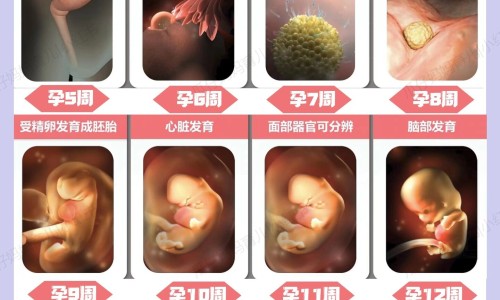 急性肾衰竭多尿期后最可能出现-急性肾衰的多尿期症状网 - 网站提供急性肾衰的多尿期症状是小常识、急性肾衰的多尿期症状是什么
